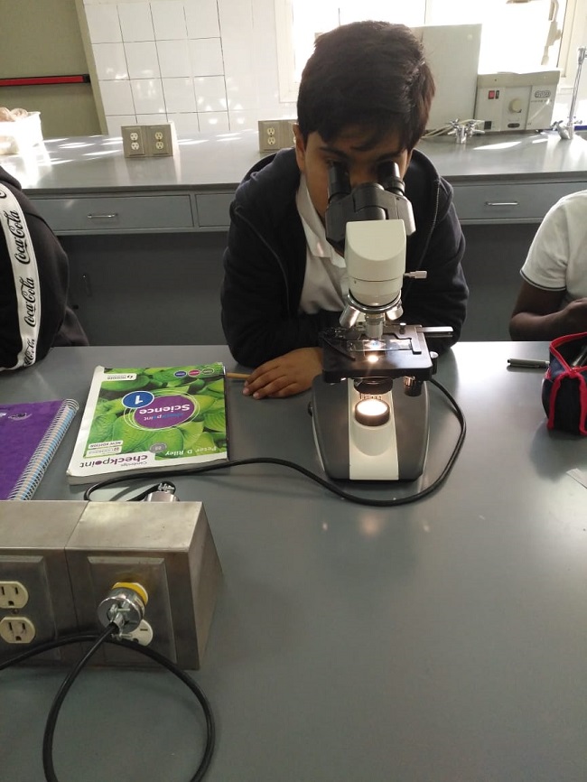 Manarat Al Riyadh International - Animal and Plant Cells